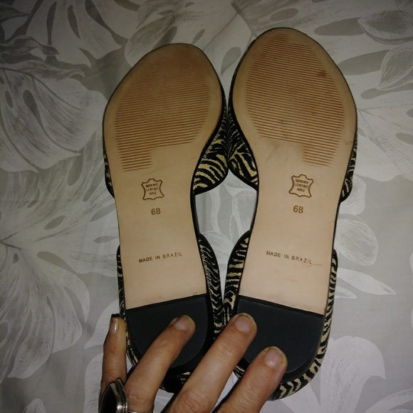 Talbots Flats - Picture 6 of 7